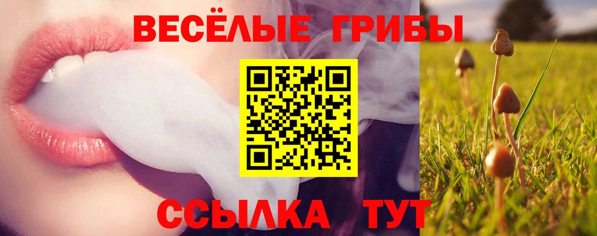 сколько стоит  Псилоцибиновые грибы мицелий  Вход с VPN  Псилоцибиновые грибы ЛСД  Клин 